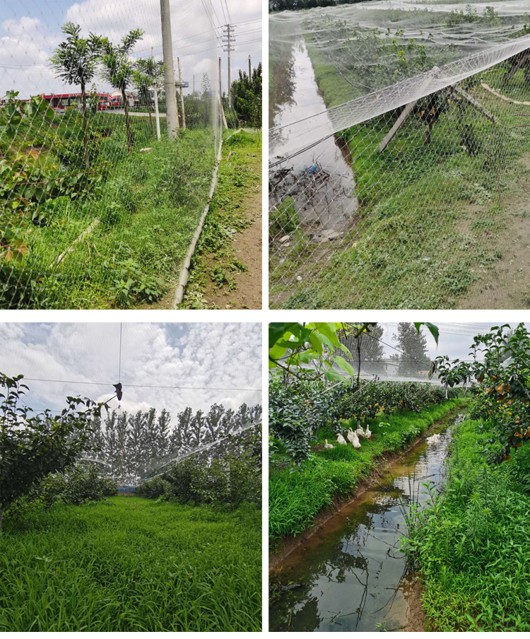 Jaring nilon tugas berat, jari - Fishing Equipment Net ulasan dan harga